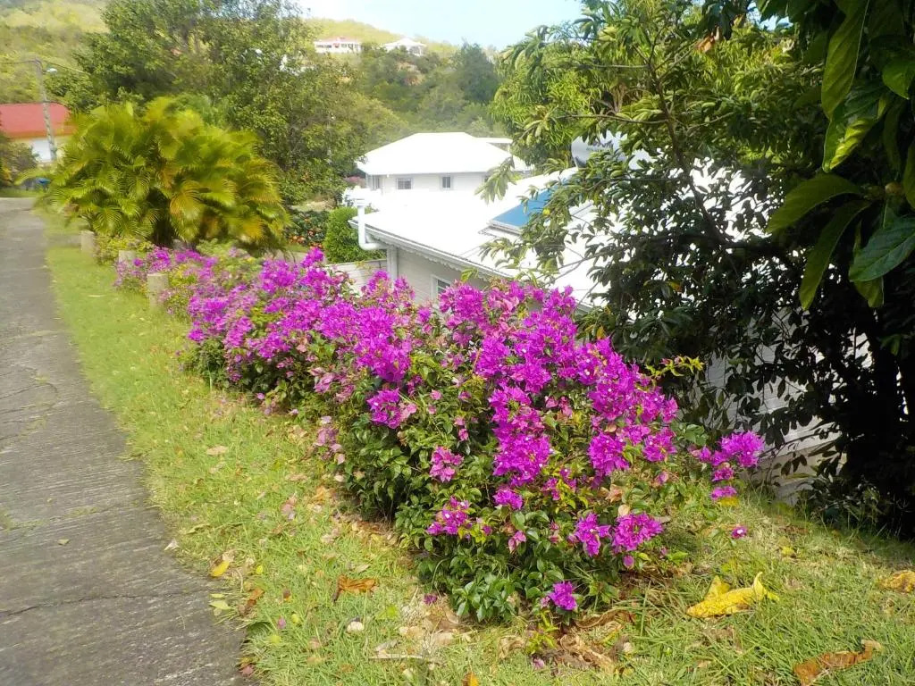 Maison d'une chambre avec vue sur la mer jardin amenage et wifi a Le Robert