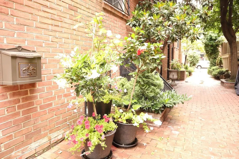 Carriage Villas
