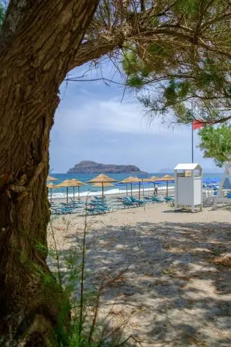 Seafront Paradise