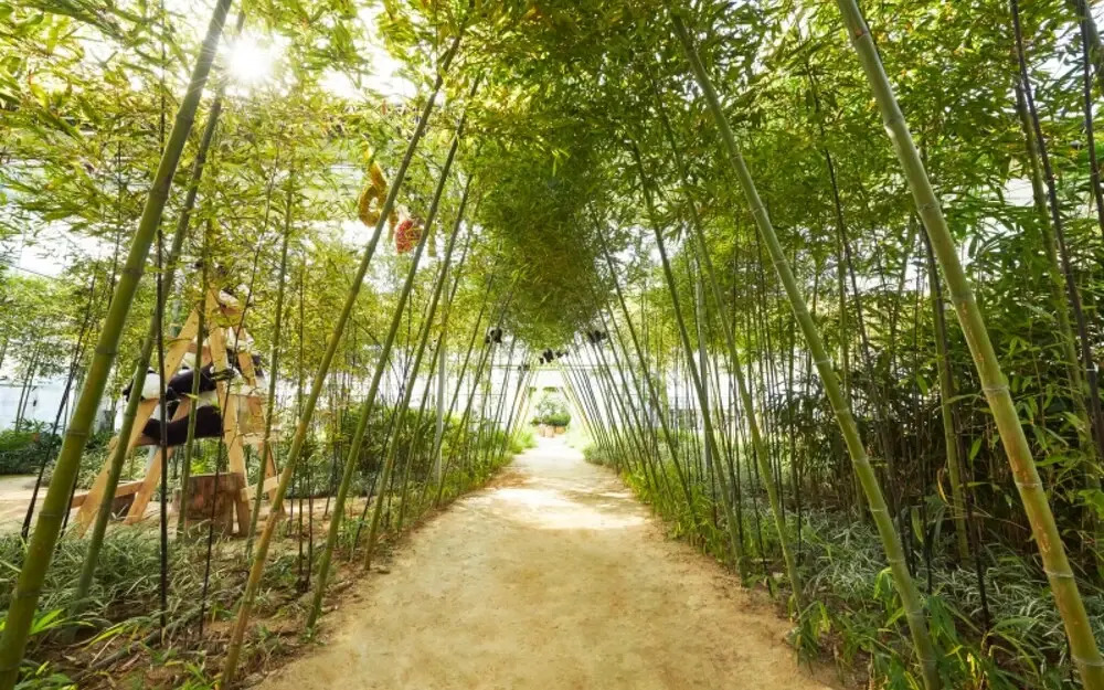 Yangpyeong Ordaon Pension