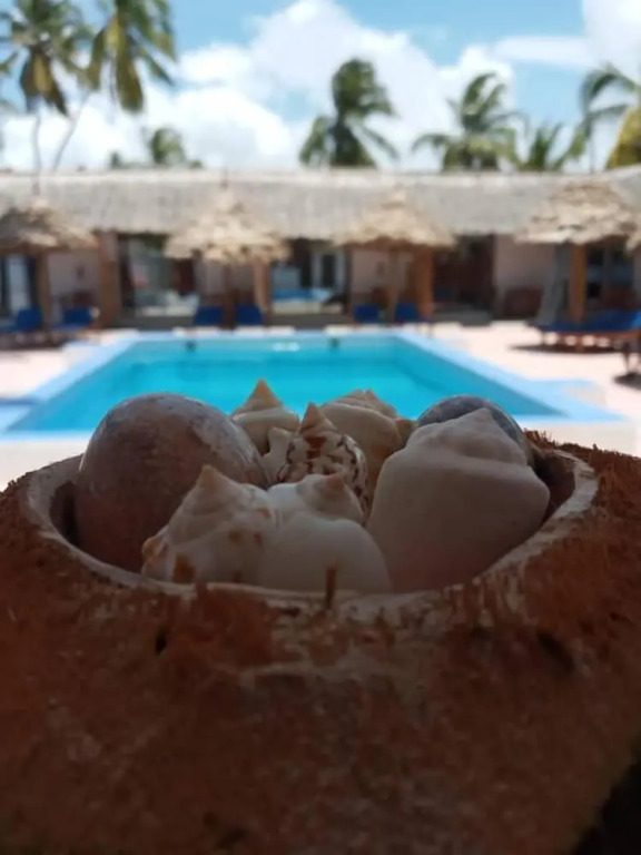 Amani Hotel Paje