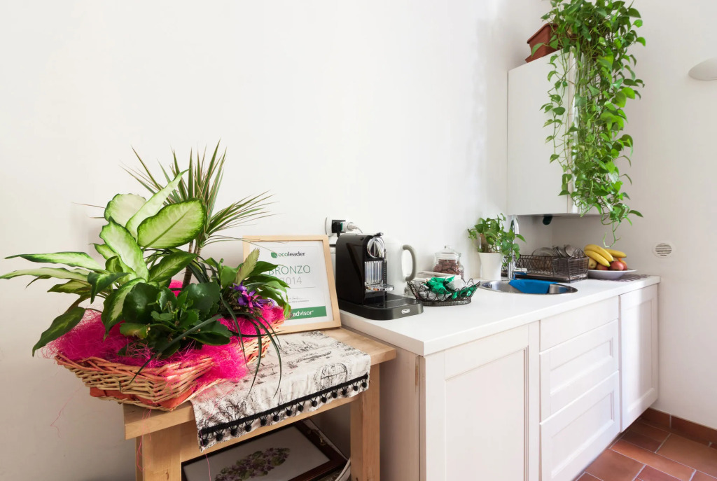 B&B Domus Quiritum