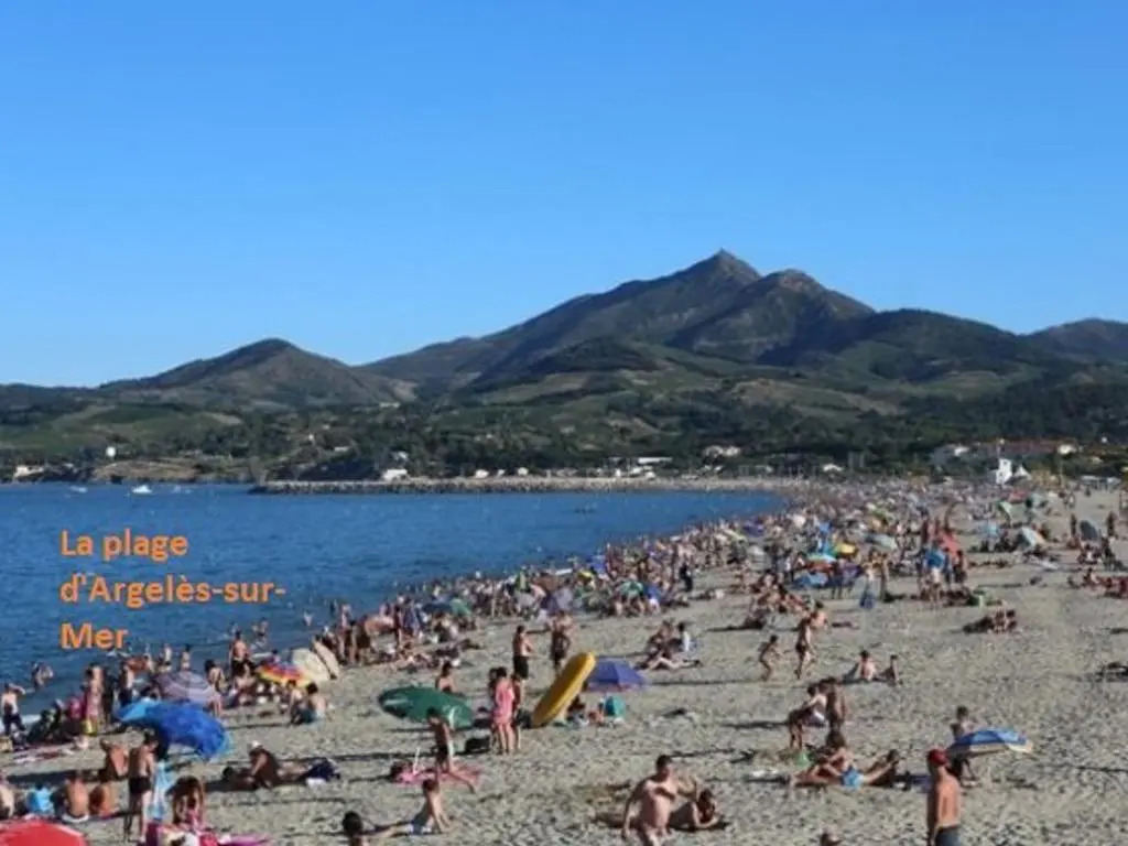 Appartement Argelès-sur-Mer, 1 pièce, 4 personnes - FR-1-225-445