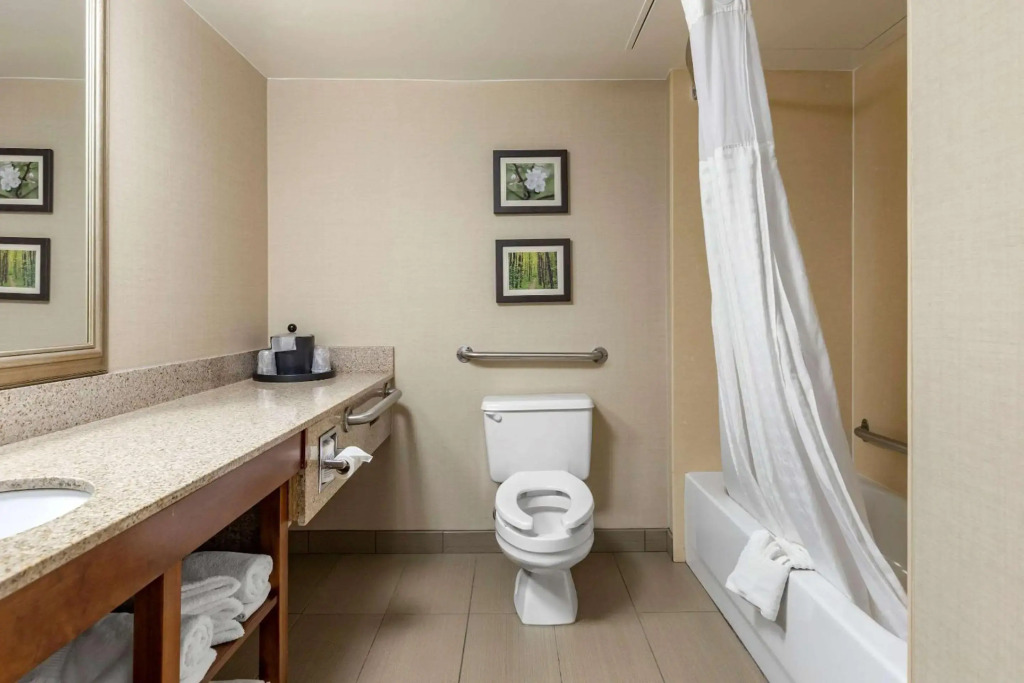 Comfort Inn Lansing West