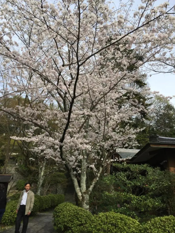 Ryokan Uemura