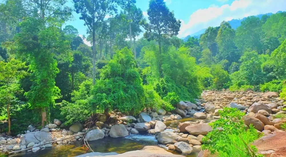 Pattama Resorts Khiri Wong