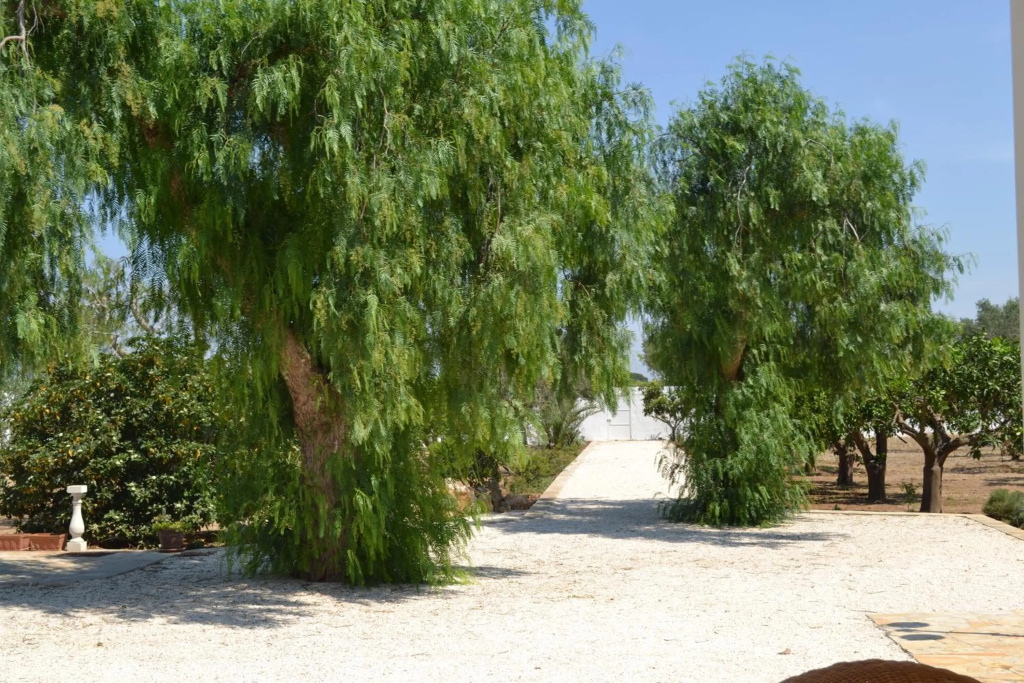 Tenuta Le Vermene