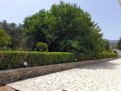 Lemontree Apartments
