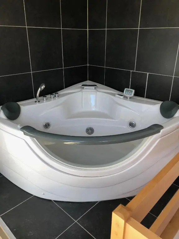 Duplex appartement Dujardin