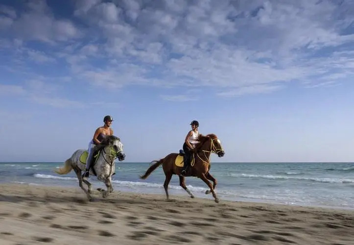 Aldiana Djerba Atlantide