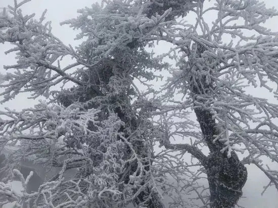 Wangyue Mountain House Homestay (Nanyue Hengshan Scenic Area)