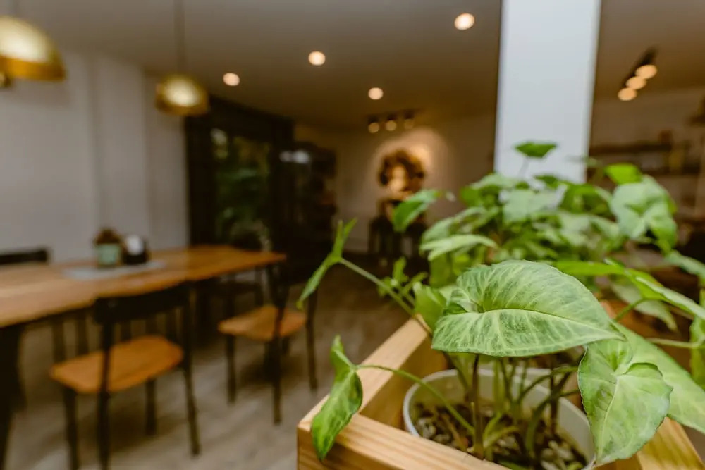 Hotel Cloud 9 Garden