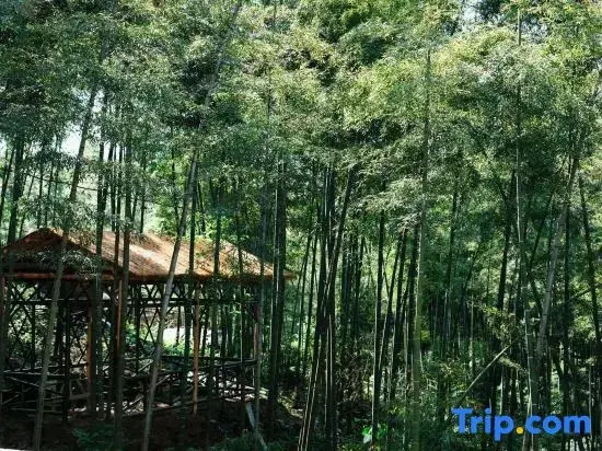 Southern Sichuan Bamboo Sea Wenzhu·Liuqing Homestay