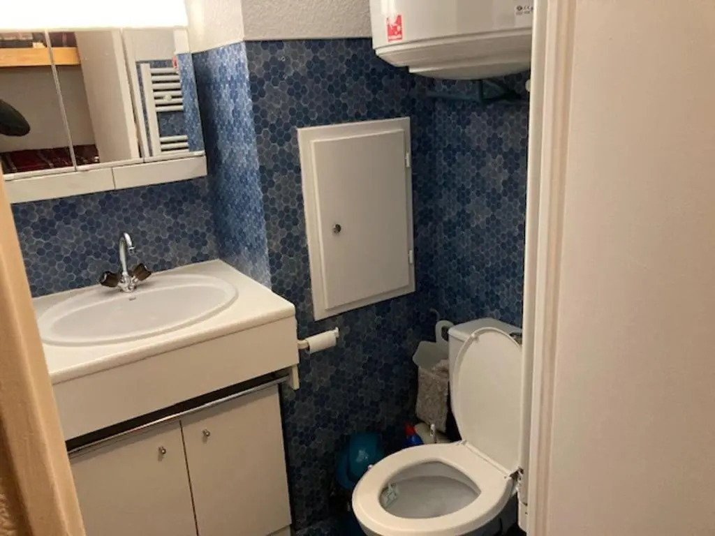 Studio Pra-Loup, 1 pièce, 4 personnes - FR-1-165A-110