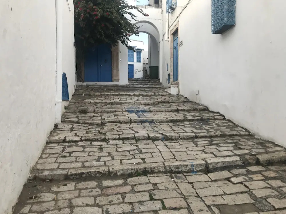 Cosy S3 Apartment in Sidi Bou Said Village