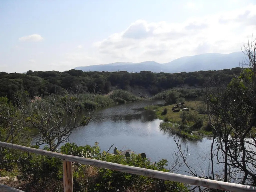 I Villini di Baia Delle Mimose