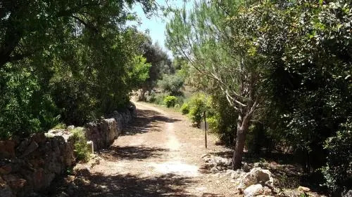 Monte Do Rio