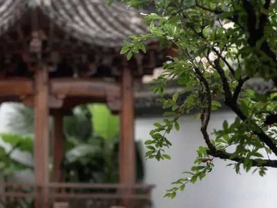 Yuliang Sincerity Homestay