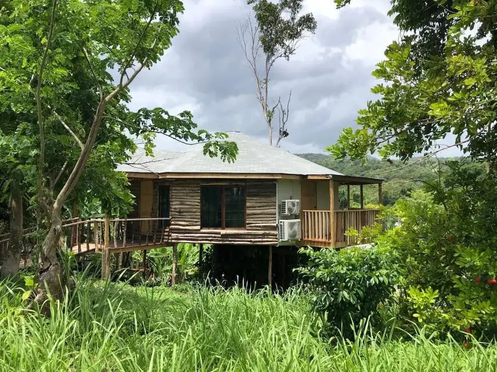 The Blue Mahoe Treehouse