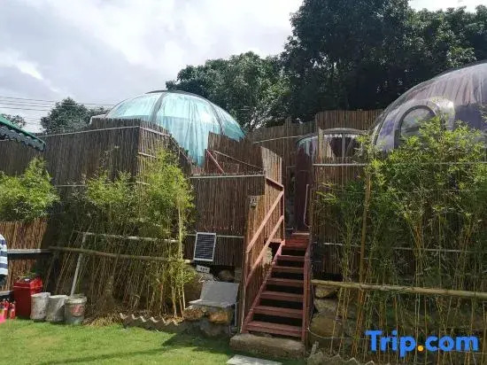 Guangzhou Conghua Qingfeng Xiaozhu Starry Sky Homestay