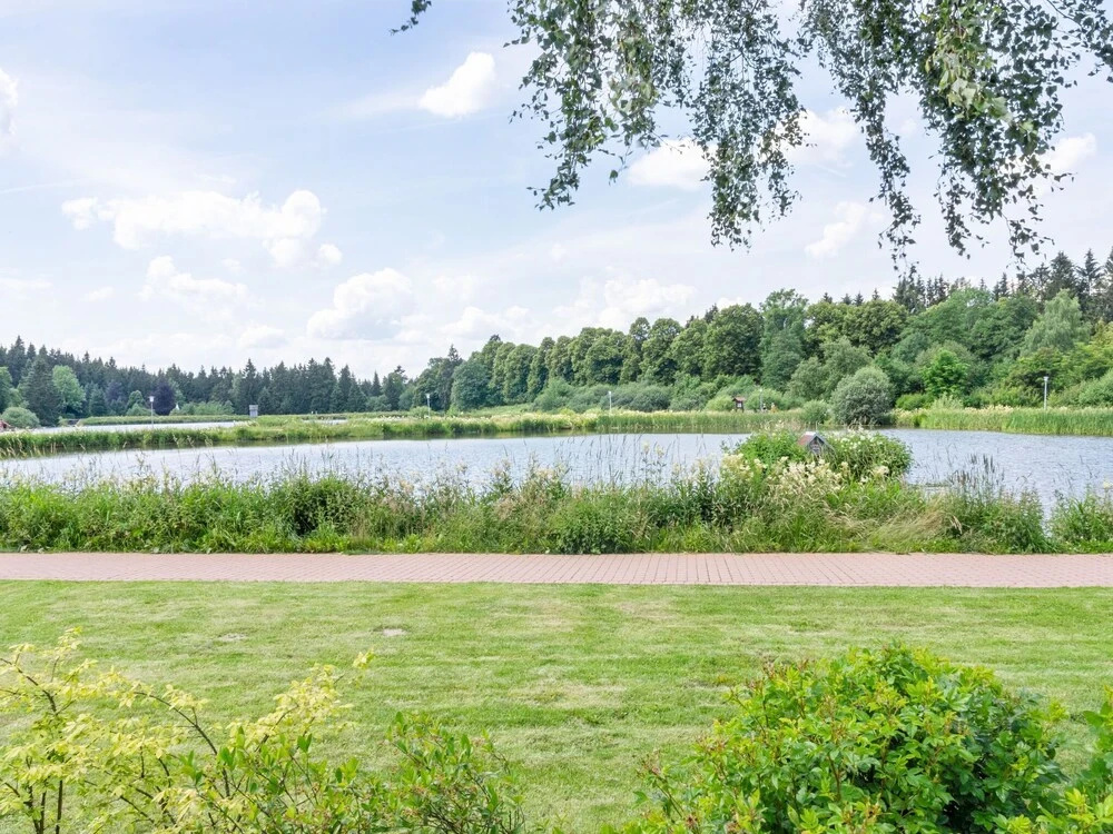 Waterfront Apartment With Swimming Pool in Hahnenklee in the Harz