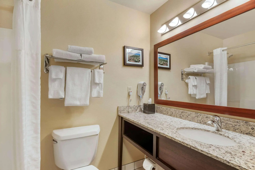 Comfort Inn Missoula near University