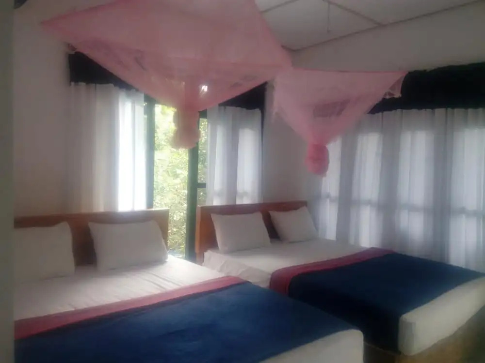 Yoho Summer Villa