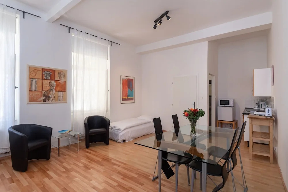 Spacious Apartments in Heart of Prague