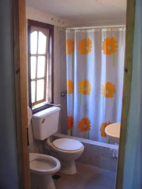 Puma Hostel