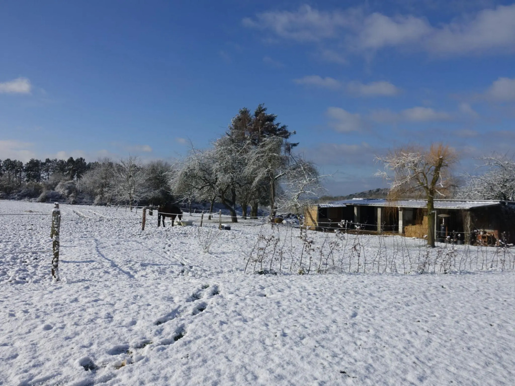 Modern villa in Rochefort close to the horses