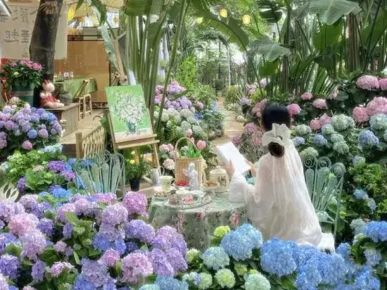 Ganlu·Cozy Travel Garden Homestay (Gucheng North Gate)