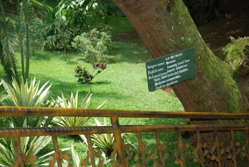 Miika Eco Resort Hotel