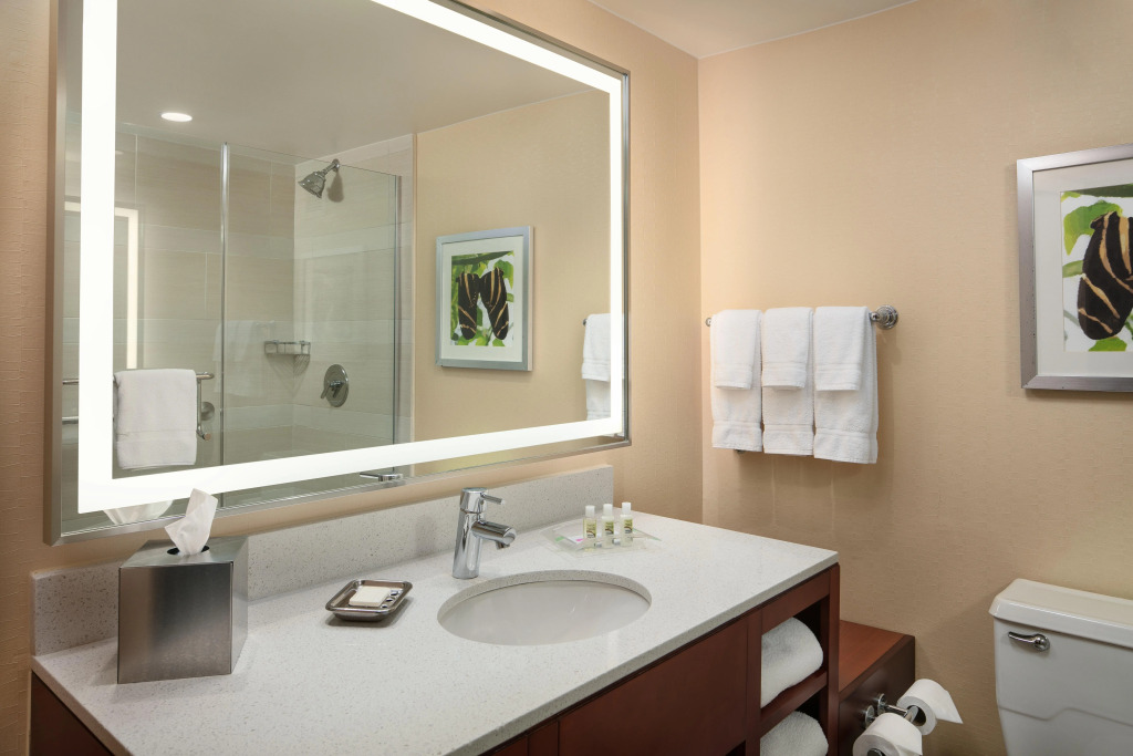 Holiday Inn Austin -Town Lake by IHG