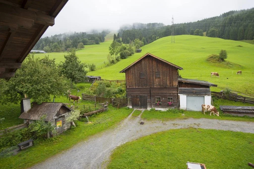 Biohof Maurachgut