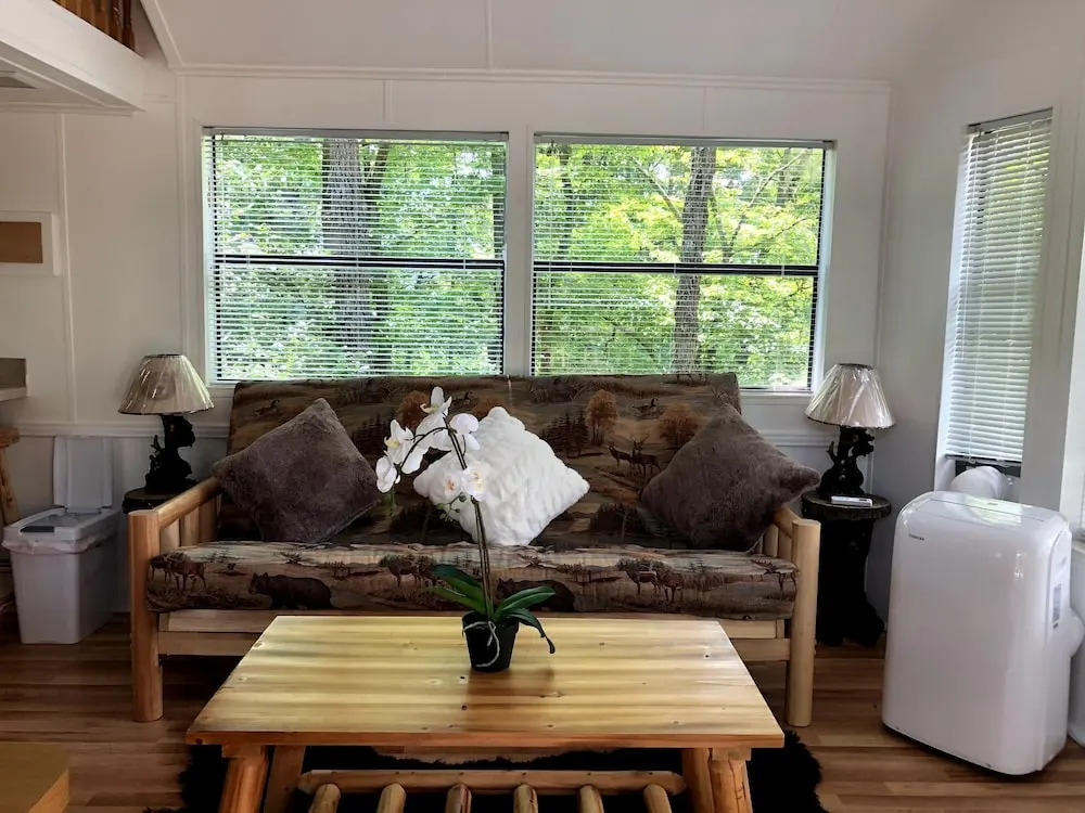 Mountain Cabin 580