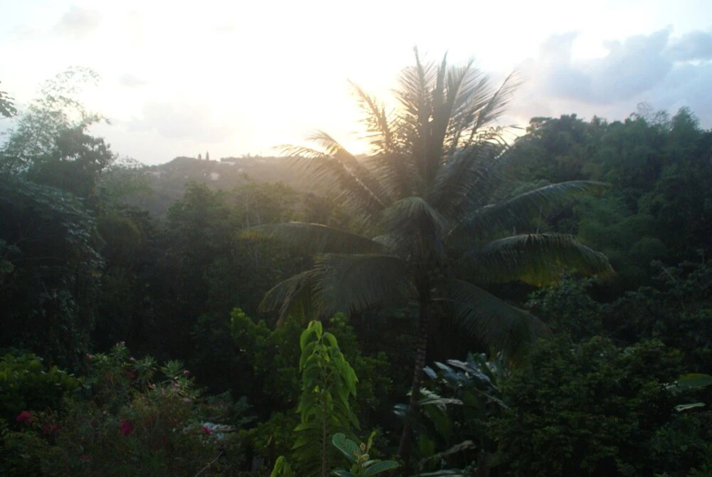 Studio in Fort de France With Wonderful sea View, Furnished Terrace and Wifi Near the Beach