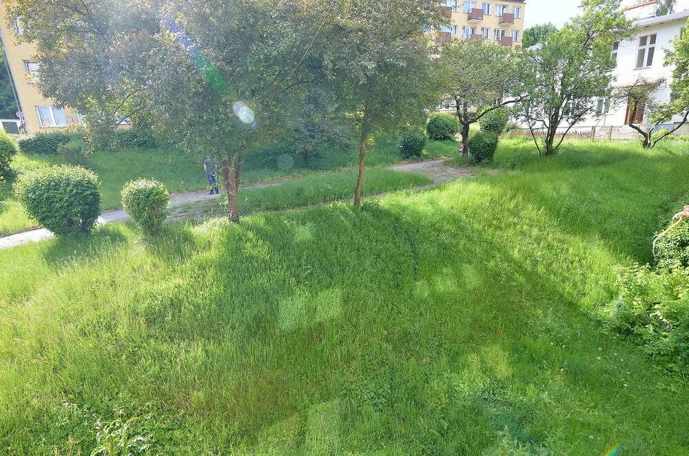 Victus Apartament - Relax