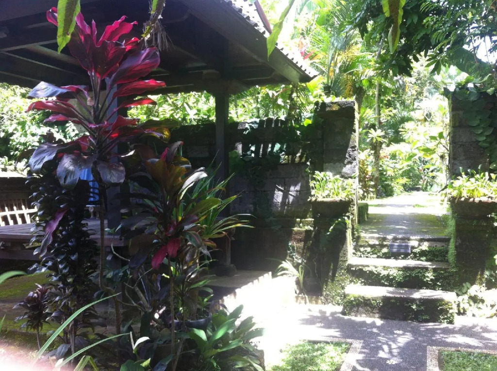 Karang Mesari Ubud Guest House