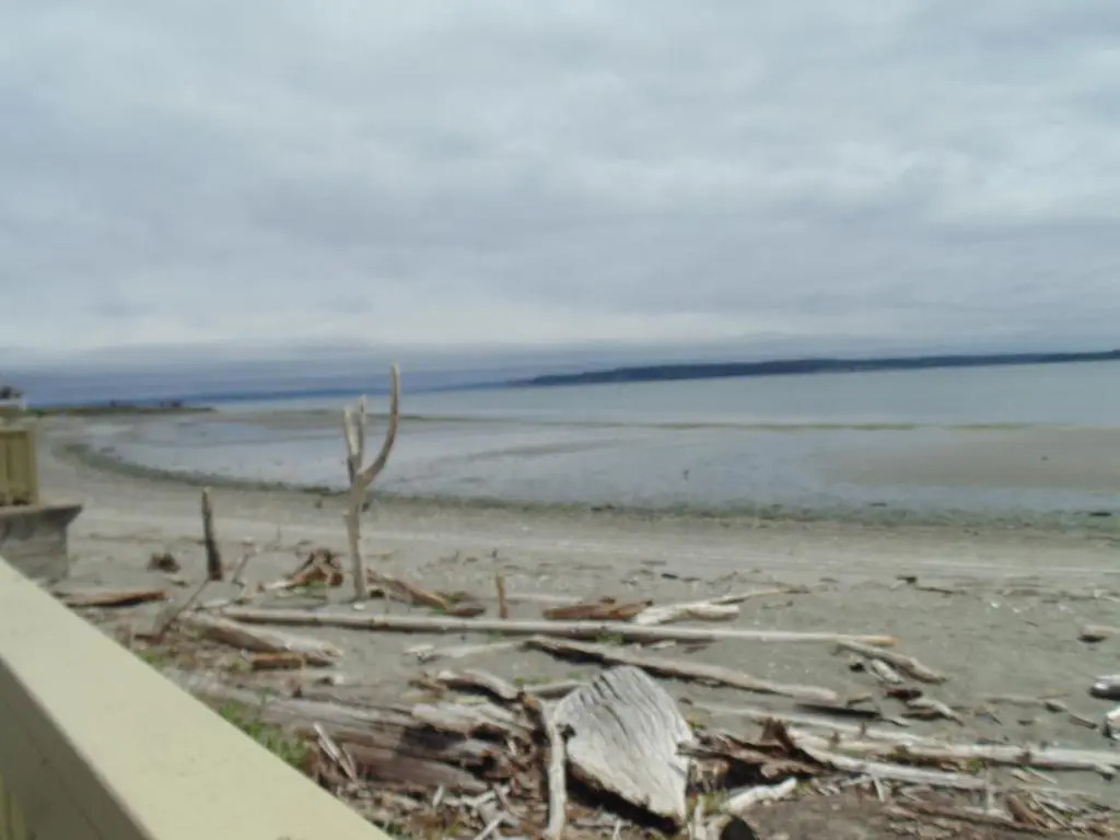 Water Front Inn