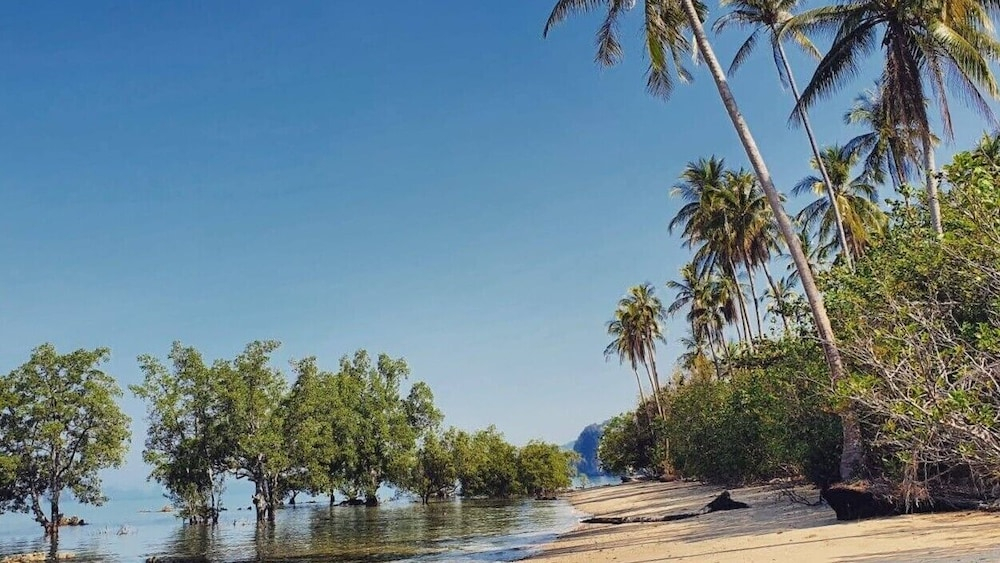 NATUR - Krabi Campsite Glamping & Camping