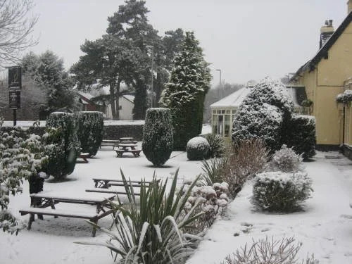 Plas Derwen Hotel