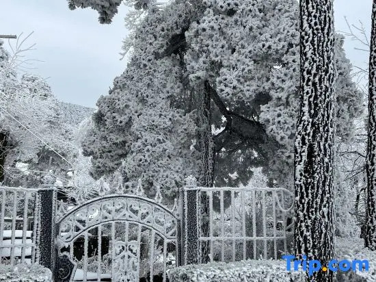 Rosegarden