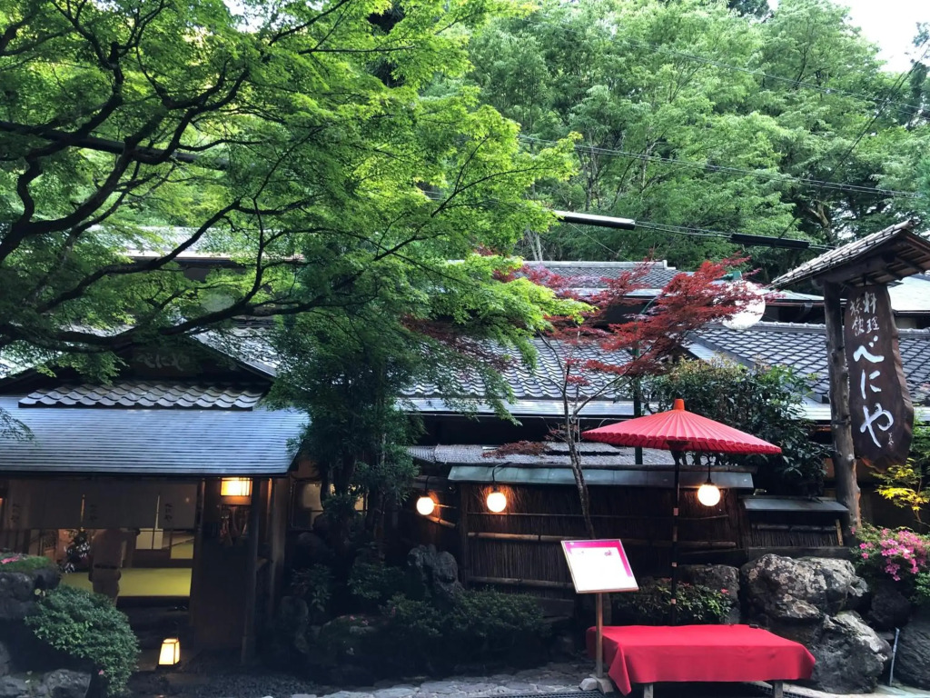 Benidaruma - Sakuramochi