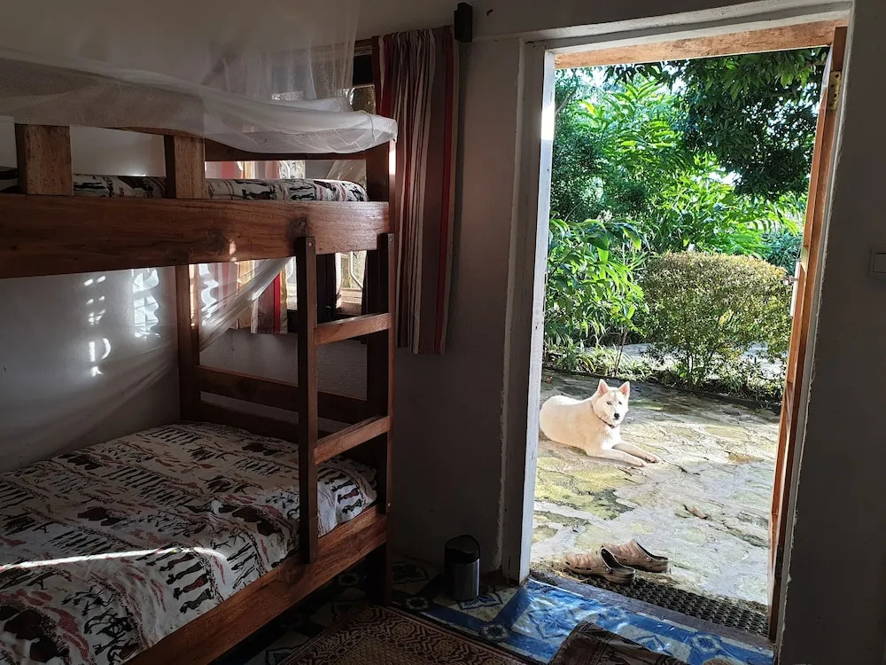 Alison & Daves Guesthouse