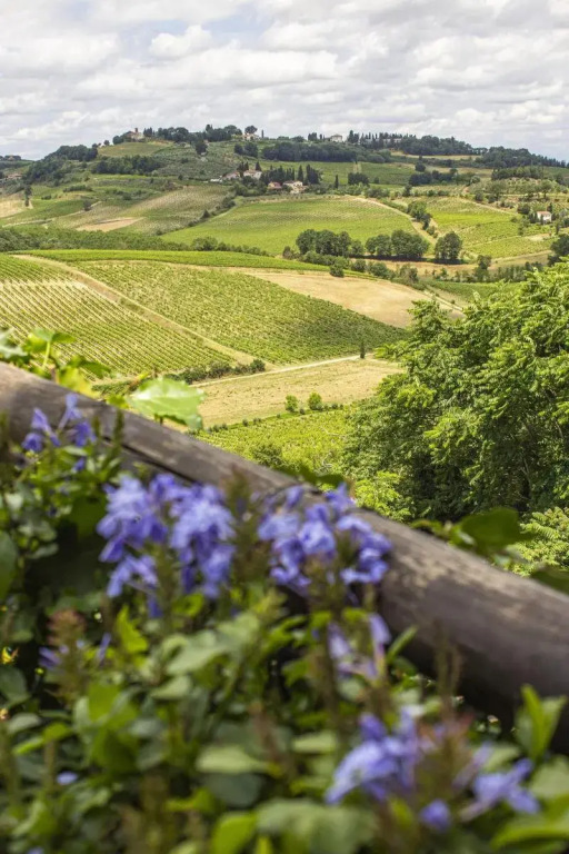 Torciano Hotel Wine & Winery, Tuscany