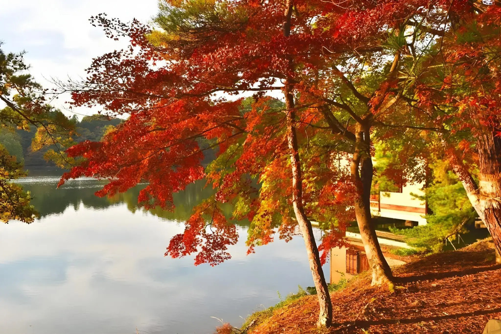 R Inn Fukuchiyama