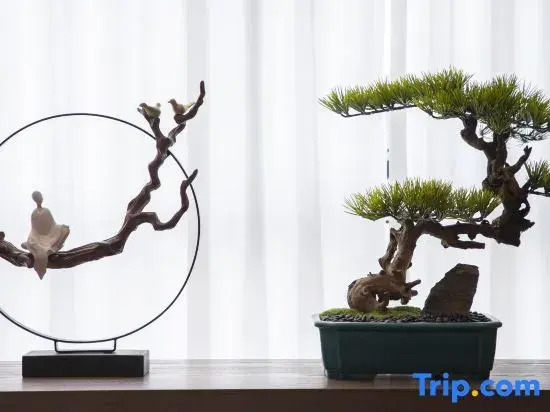 See Songshan Hotel