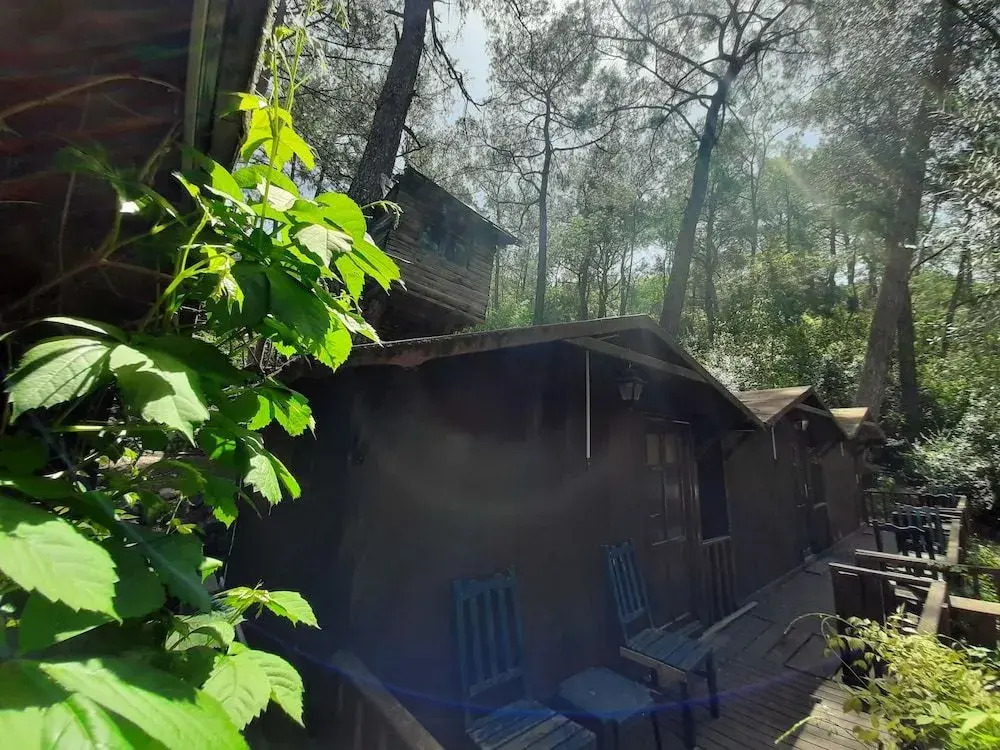 Altaris Bungalows Olympos