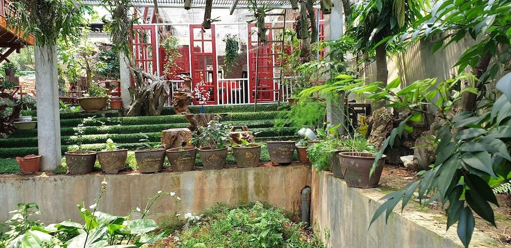 Maison Teahouse Homestay
