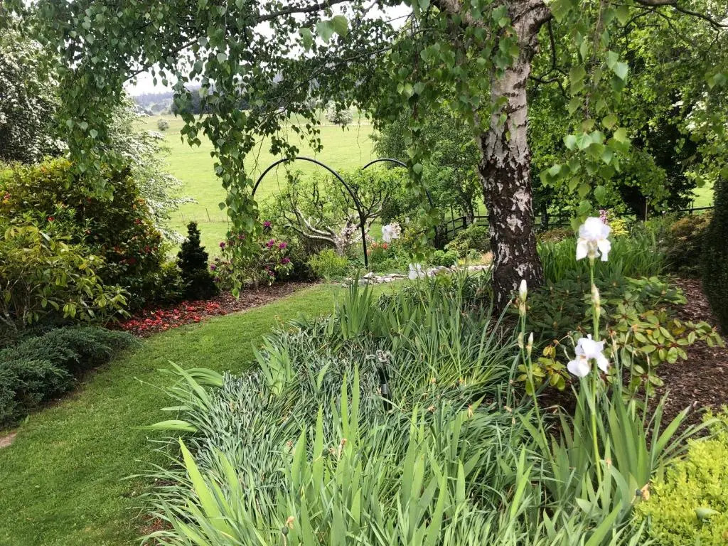 Mole Creek Hideaway